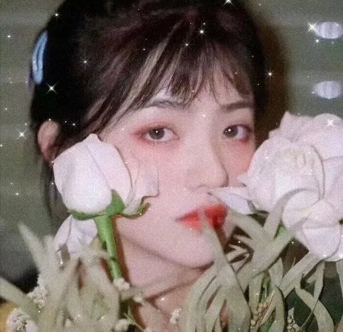 卷卷初恋
